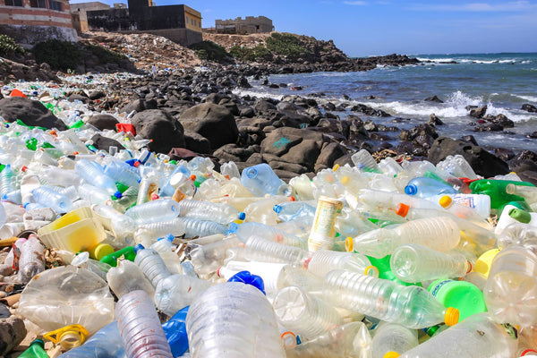 How Plastic Water Bottles Affect the Environment - Genzon Water