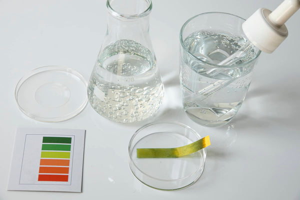 Why Alkaline Water Can Get Expensive - Genzon Water