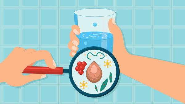 What Happens When You Drink Water With Bacteria - Genzon Water