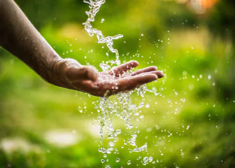 Water Purifiers for Melbourne - Genzon Water