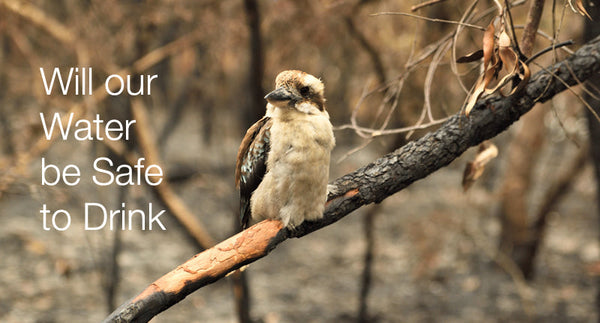 Bushfires Threaten Drinking Water Safety - Genzon Water