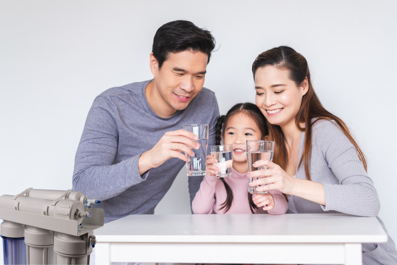 Guide to the Best Home Water Filter Systems - Genzon Water