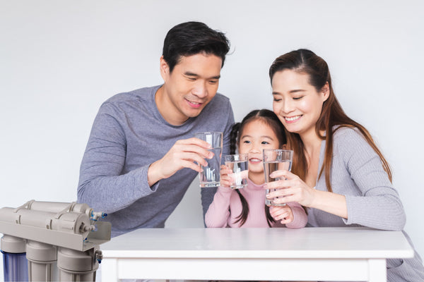 Guide to the Best Home Water Filter Systems - Genzon Water