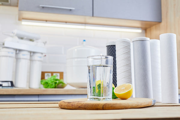 Does Alkaline Water Help Your Digestion? - Genzon Water