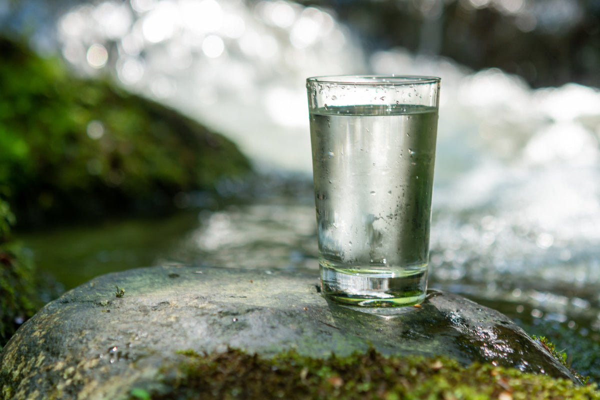 Should Your Drinking Water Be Alkaline? - Genzon Water