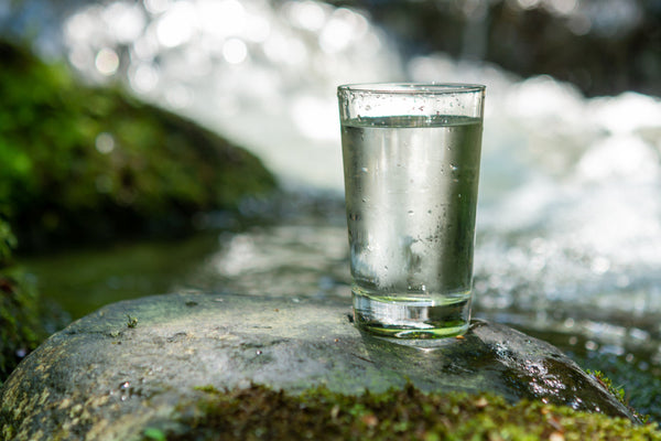 Should Your Drinking Water Be Alkaline? - Genzon Water